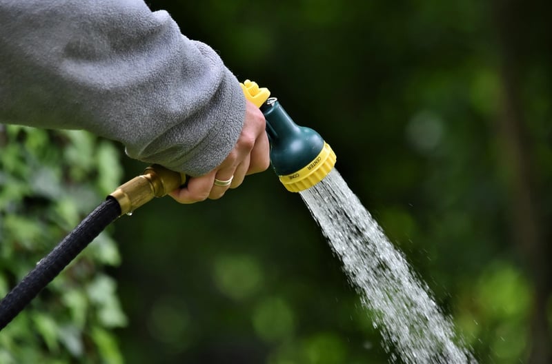 Self-Watering Planter